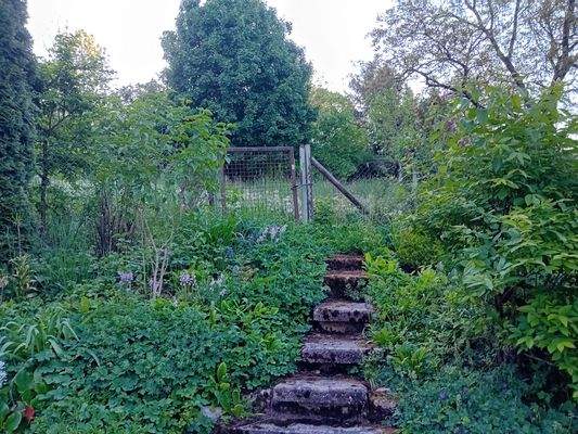 Zugang Grundstück.jpg