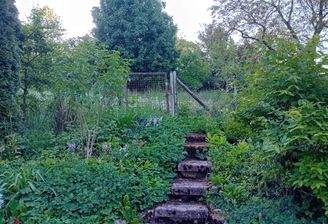 Zugang Grundstück.jpg