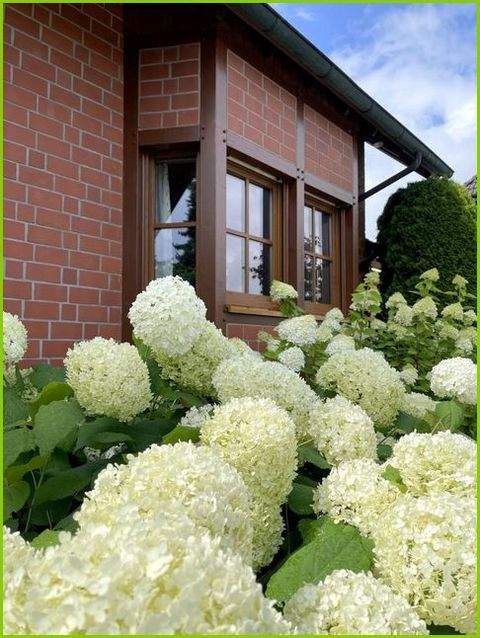 Hamm Häuser, Hamm Haus kaufen