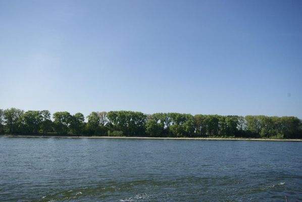  Rheinblick vom Balkon