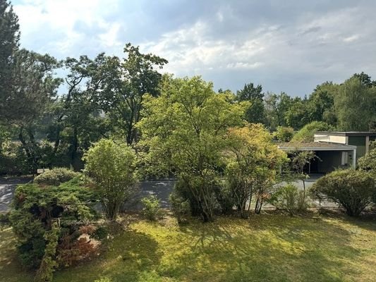 Blick vom Balkon.jpg