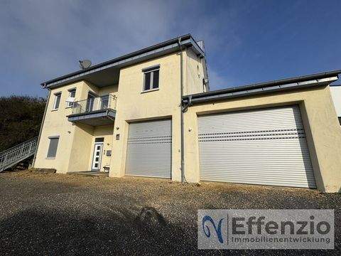 Hirschhorn Häuser, Hirschhorn Haus kaufen