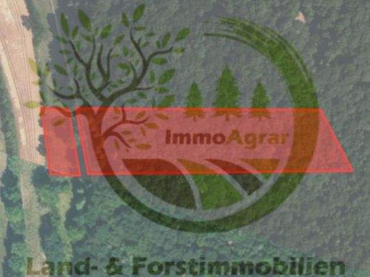 ImmoAgrar_Mühlbach_02.png