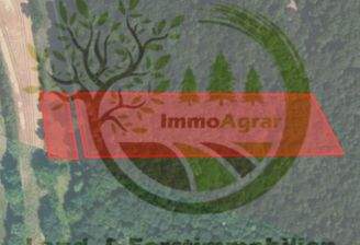 ImmoAgrar_Mühlbach_02.png