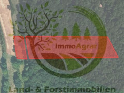 Dietfurt an der Altmühl Bauernhöfe, Landwirtschaft, Dietfurt an der Altmühl Forstwirtschaft