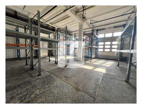 Hamburg Halle, Hamburg Hallenfläche