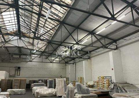 Köln Halle, Köln Hallenfläche