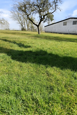 ChatGPT Image 6. Aug. 2025, 10_36_39