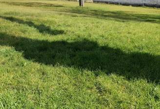 ChatGPT Image 6. Aug. 2025, 10_36_39