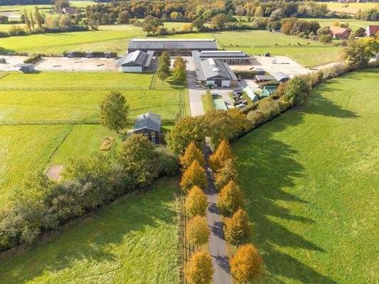 Allee zur Reitanlage