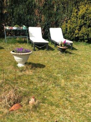 PHOTO-2025-03-29-11-24-54 6.jpg