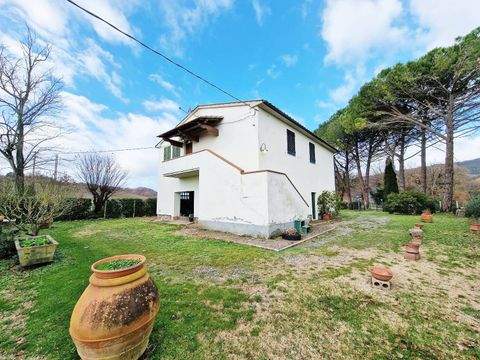 Pomarance Häuser, Pomarance Haus kaufen