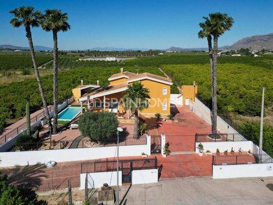 Spacious Villa with Pool and Parking in Orihuela Centro