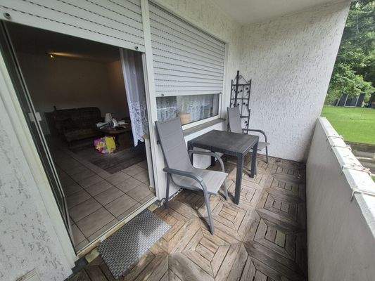 WhatsApp Image 2025-08-08 at 12.44.38.jpeg