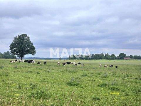 Kabile Bauernhöfe, Landwirtschaft, Kabile Forstwirtschaft