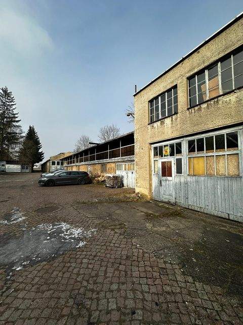 Waldheim Halle, Waldheim Hallenfläche