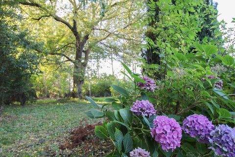 Velgast Grundstücke, Velgast Grundstück kaufen