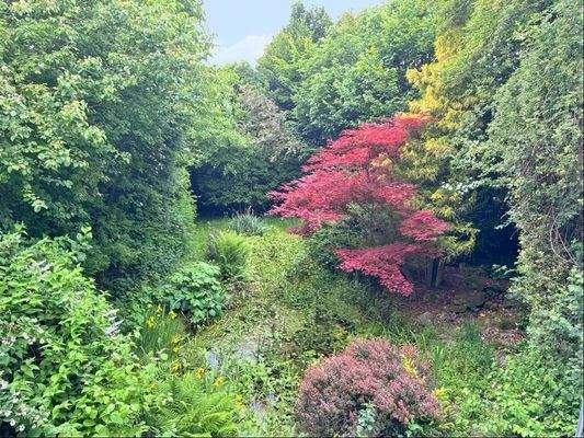 Blick auf das Grundstück