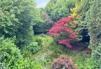 Blick auf das Grundstück