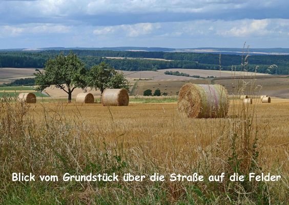 Der Blick in Richtung Südwest