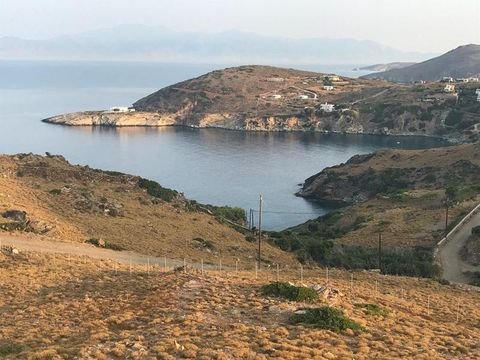 Gavrio, Andros Bauernhöfe, Landwirtschaft, Gavrio, Andros Forstwirtschaft