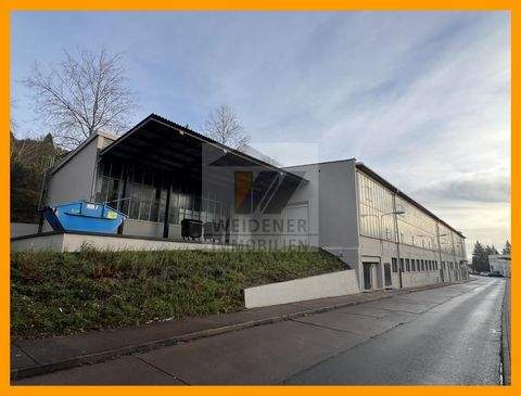 Gera Halle, Gera Hallenfläche