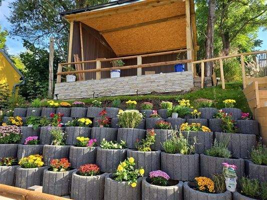 Neuer Garten im Sommer