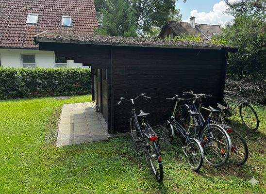 Gemini_Generated_Image_kv6zvikv6zvikv6z