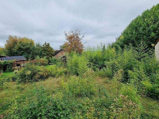 Blick vom Haus in den Garten des Grundstücks.jpg