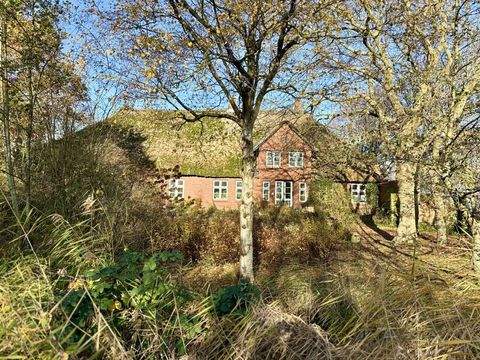 Sankt Peter-Ording Häuser, Sankt Peter-Ording Haus kaufen