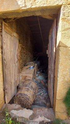 WhatsApp Image 2025-11-04 at 20.22.05_4b6a32c0.jpg