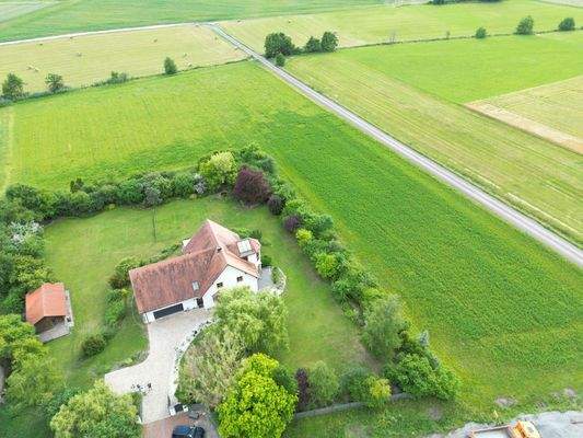 Gesamtgrund mit Weide