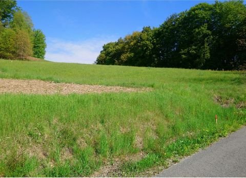 Edelstauden Grundstücke, Edelstauden Grundstück kaufen