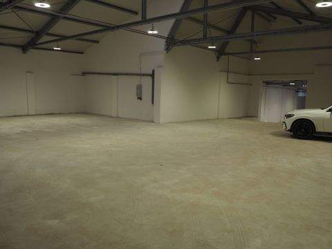 Düsseldorf Halle, Düsseldorf Hallenfläche