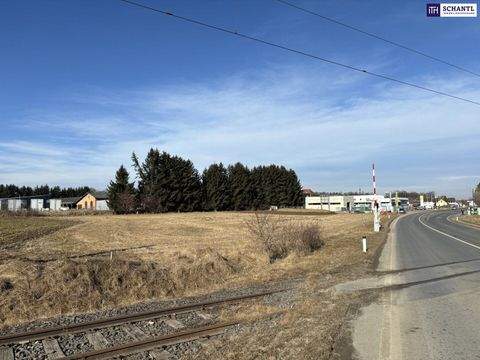Werndorf Industrieflächen, Lagerflächen, Produktionshalle, Serviceflächen