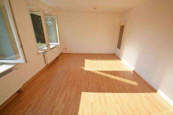 Wohn-/Esszimmer (Beispielwohnung im 1. OG)