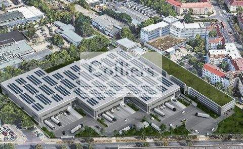 Berlin Halle, Berlin Hallenfläche