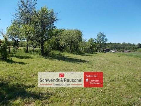 Hirzenhain Grundstücke, Hirzenhain Grundstück kaufen