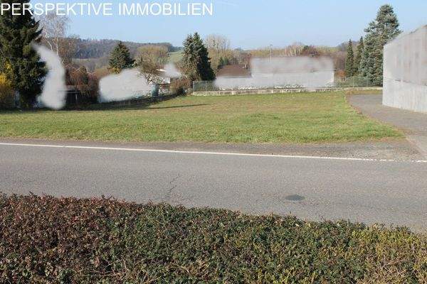 Gewerbegrundstück BadKönig Berliner Straße1