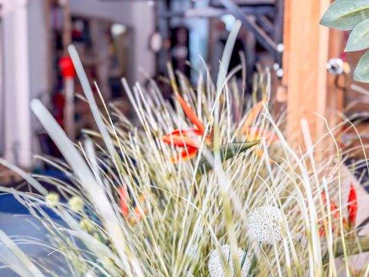 Machen Sie diese Räume zu Ihren Eigenen.