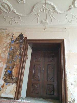 1. OG Zweiflüglige Holztüren (7)-min