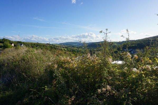 Ihr neues Zuhause im Grünen