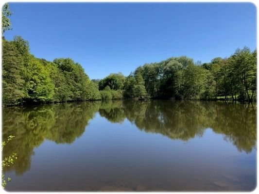 Teich am Sternberg