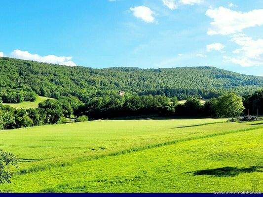 Geniessen Sie den traumhaften Ausblick von der Terrasse in die umliegende Natur!