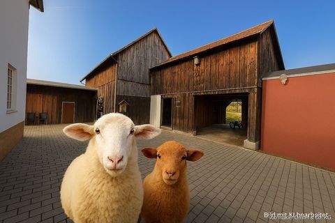 Kronach Häuser, Kronach Haus kaufen