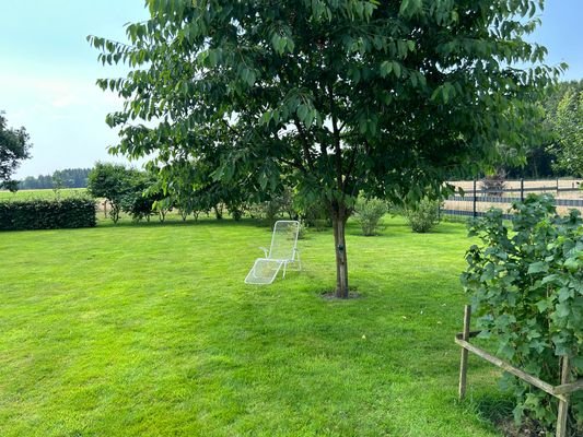 Garten mit Kirschbaum 