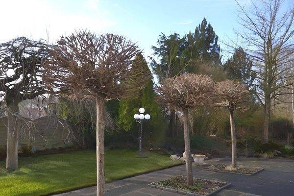 Seitlicher Parkbereich