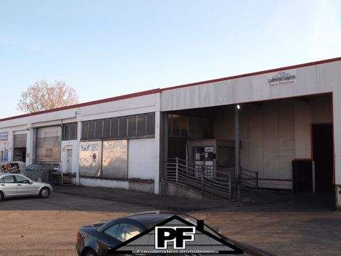 Braunschweig Halle, Braunschweig Hallenfläche