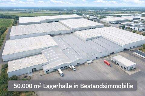 Oelde Halle, Oelde Hallenfläche