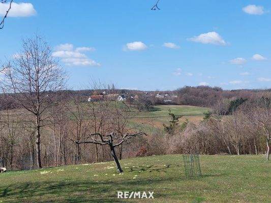 erwachender Frühling im Garten